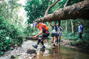 BIB: 
                            <button type="button" onclick="openModal(25369090)" class="btn btn-primary btn-sm float-right btn-popup" data-toggle="modal" data-target=".modal-high-quality">
                        <i class="fas fa-shopping-cart"></i> Add to Cart
                    </button>
                                            <button type="button" onclick="isThisMe(25369090, true)" class="btn btn-success btn-sm float-right btn-popup btn-isme hidden" data-toggle="tooltip" data-placement="bottom" title="นี่คือรูปของคุณใช่ไหม คลิกที่นี่เพื่อเอาเข้าอัลบั้ม">
                        <i class="fas fa-plus"></i> Add to album
                    </button>
                    <button type="button" onclick="isThisMe(25369090, false)" class="btn btn-warning btn-sm float-right btn-popup btn-isnotme hidden">
                        <i class="fas fa-ban"></i> Remove from album
                    </button>